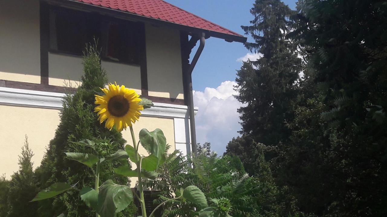 Penzion Pod Orechom Turčianske Teplice المظهر الخارجي الصورة