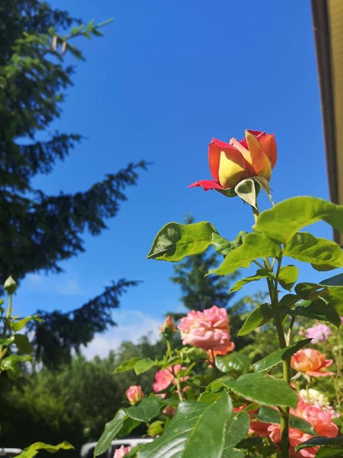 Penzion Pod Orechom Turčianske Teplice المظهر الخارجي الصورة