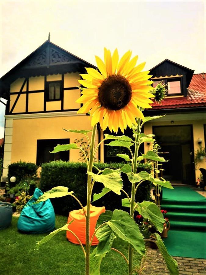 Penzion Pod Orechom Turčianske Teplice المظهر الخارجي الصورة